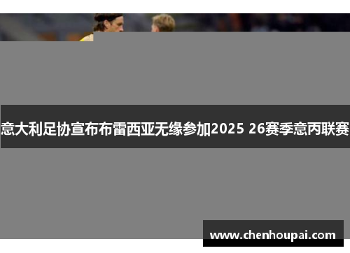 意大利足协宣布布雷西亚无缘参加2025 26赛季意丙联赛